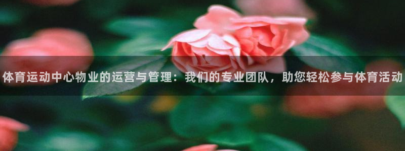 bbin视讯：体育运动中心物业的运营与管理：我们的专业团队，助您轻松参与体育活动