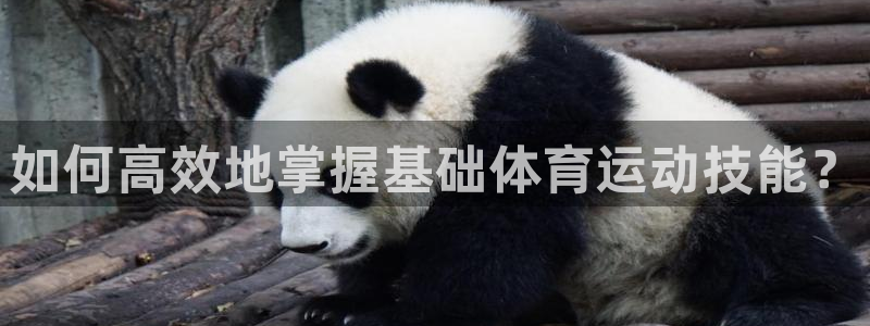 bbin视讯：如何高效地掌握基础体育运动技能？