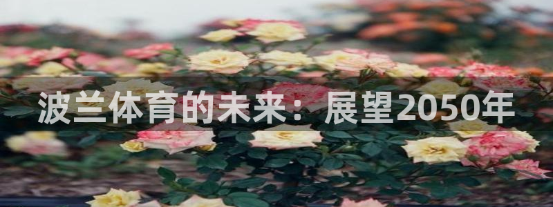 bbin视讯游戏官网：波兰体育的未来：展望2050年