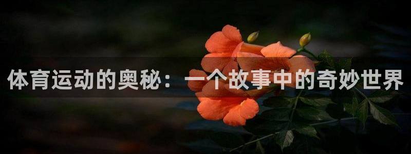bbin视讯：体育运动的奥秘：一个故事中的奇妙世界