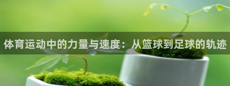 bbin视讯下：体育运动中的力量与速度：从篮球到足球的轨迹