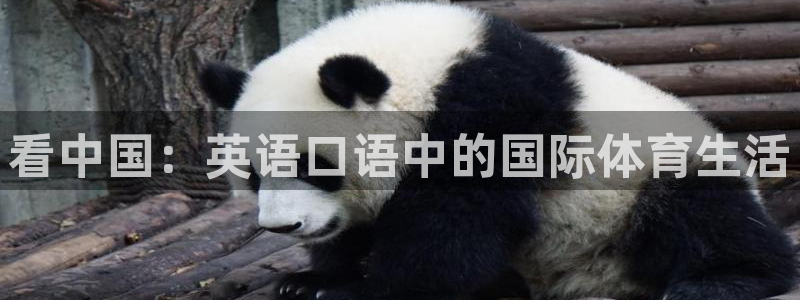 bbin视讯游戏官网：看中国：英语口语中的国际体育生活