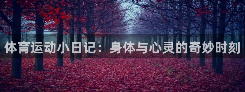 bbin视讯游戏平台：体育运动小日记：身体与心灵的奇妙时刻