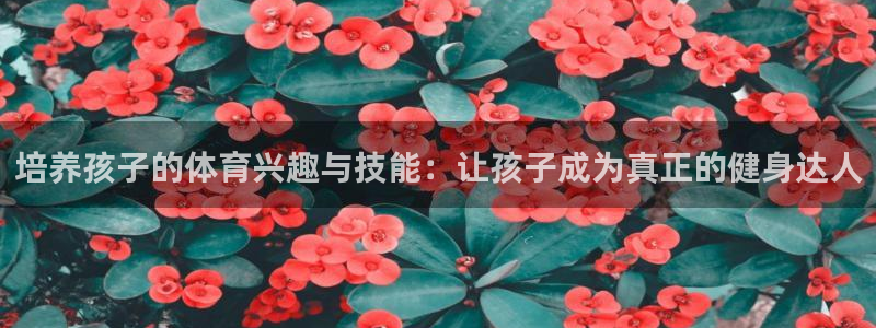 bbin视讯游戏官网：培养孩子的体育兴趣与技能：让孩子成为真正的健身达人